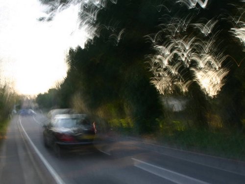 Car with bird shapes