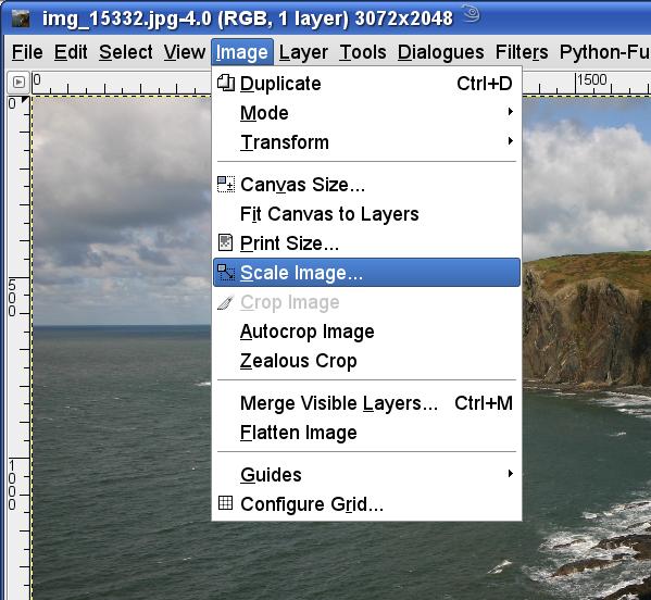 Scale Image menu option