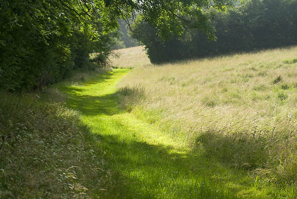 PathnearRotherfieldGreys2.jpg