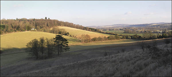 EveninglightonRidgeWoodandThamesValley.jpg