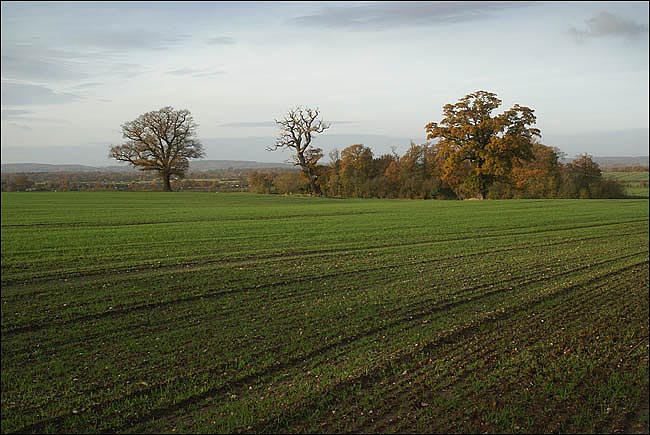 Ashley and Bowsey Hills