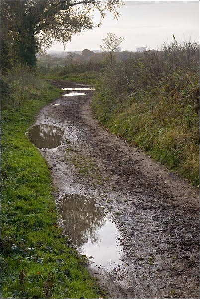 LaneBracknellindistance2.jpg LaneBracknellindistance2.jpg