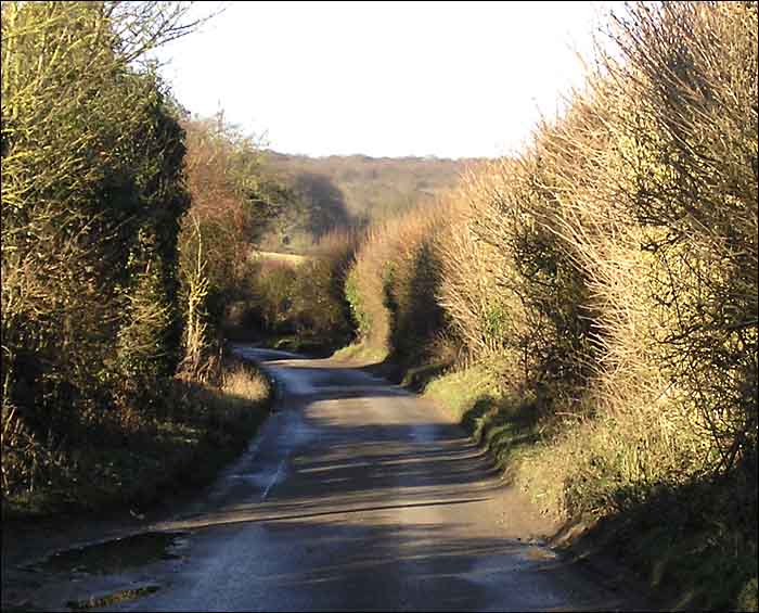 WinchbottomLane.jpg