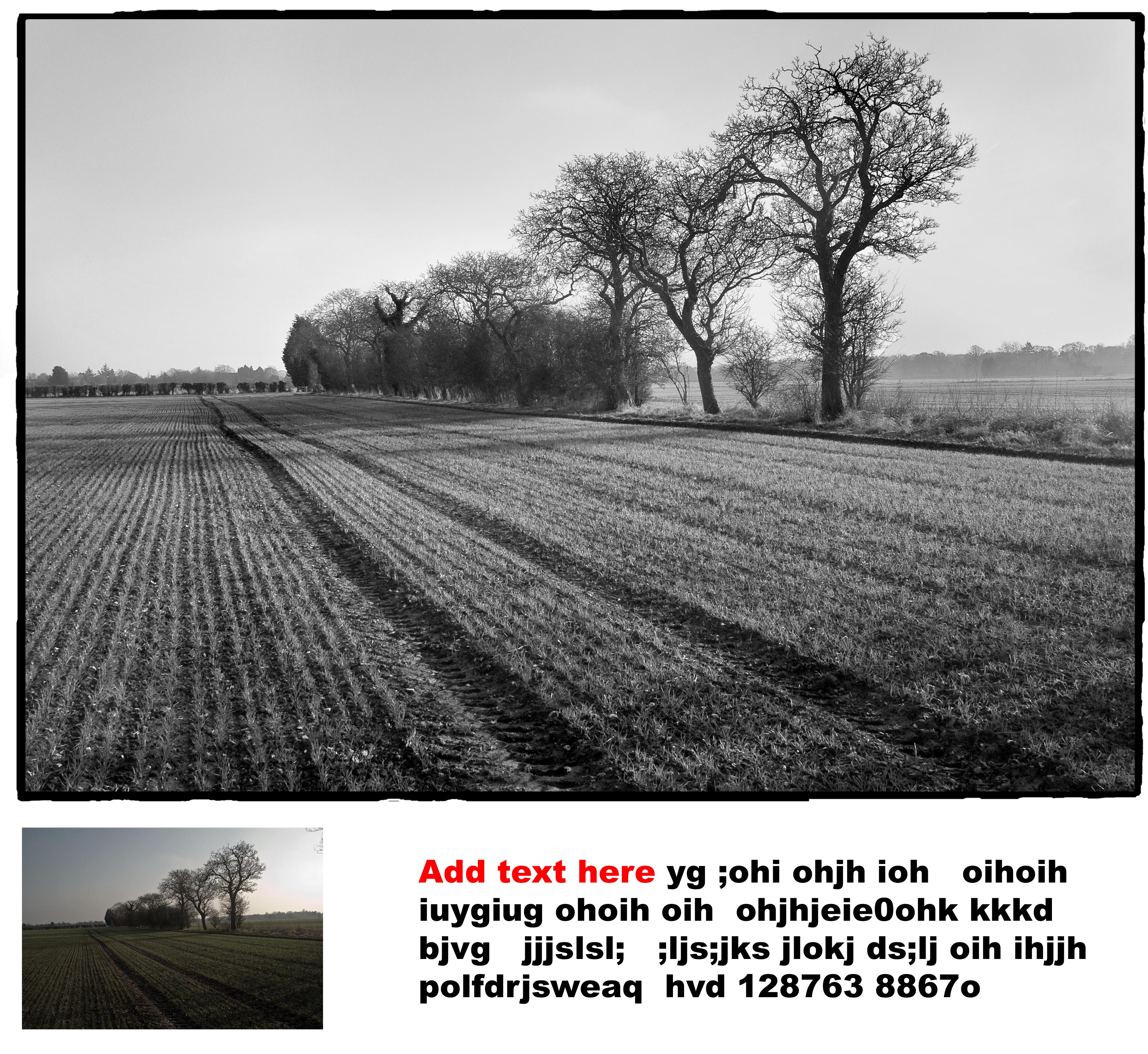 Add text in a spare bit of canvas