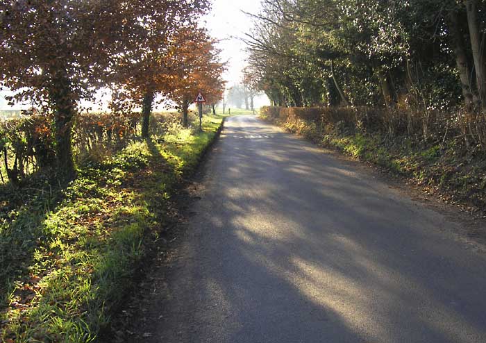 RoadnearTemple.jpg