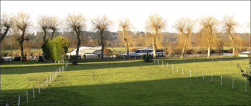 WillowsatHenleySailingClubTemple.jpg
