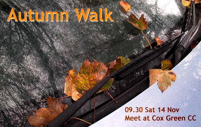 Autumnwalk.jpg