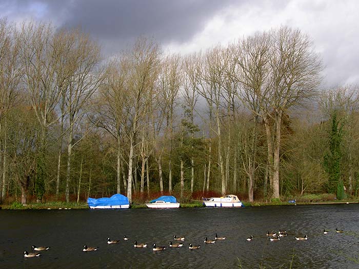 Thames near Danesfield