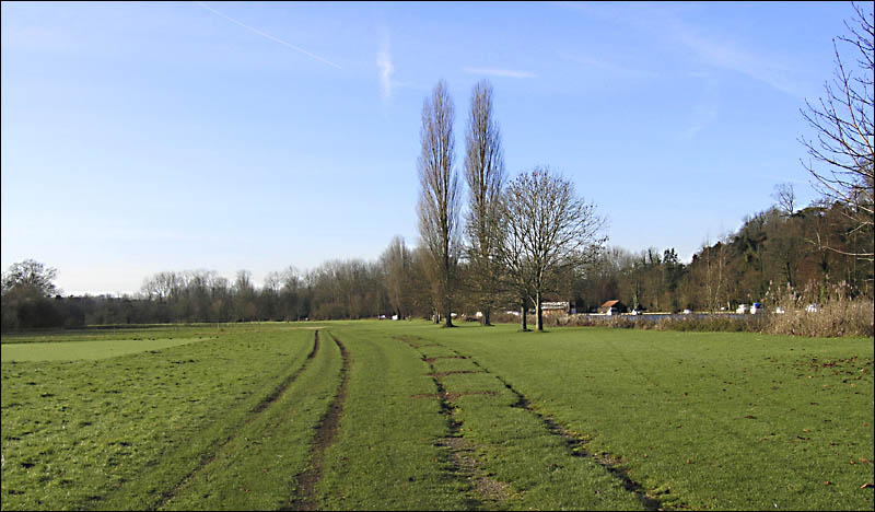 ThamesPath.jpg