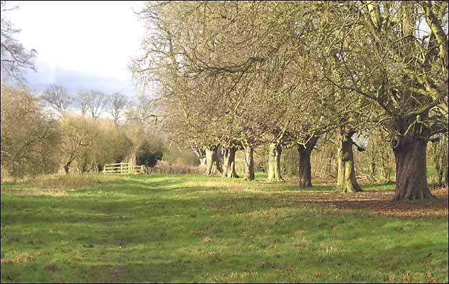 PathnearStubbingsHouse.jpg