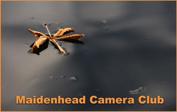 Floatingleafcopy.jpg