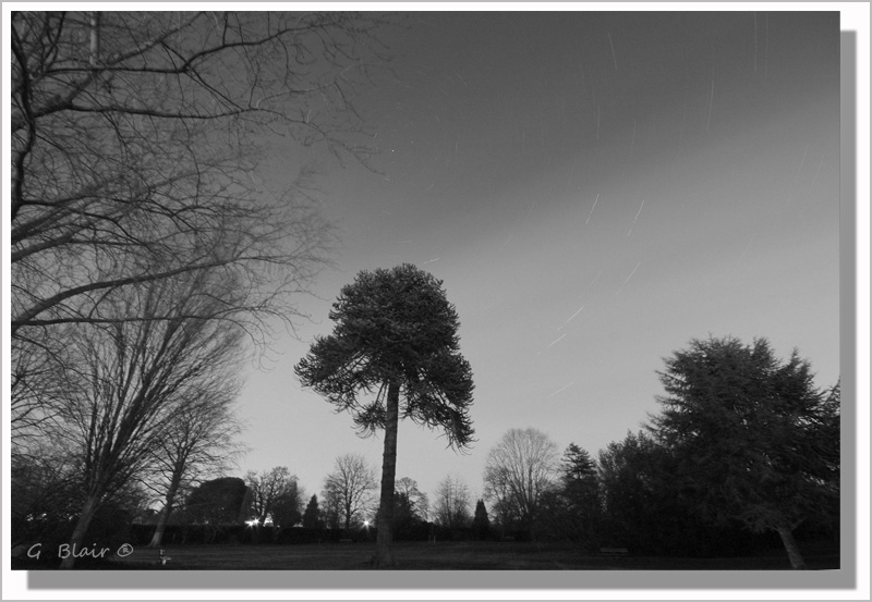 2039 seconds exposure