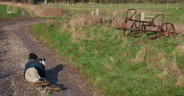 What Is Ed Up To by Dave Mundy.jpg