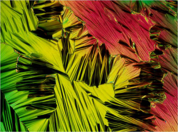 Polarised Light Microscopy