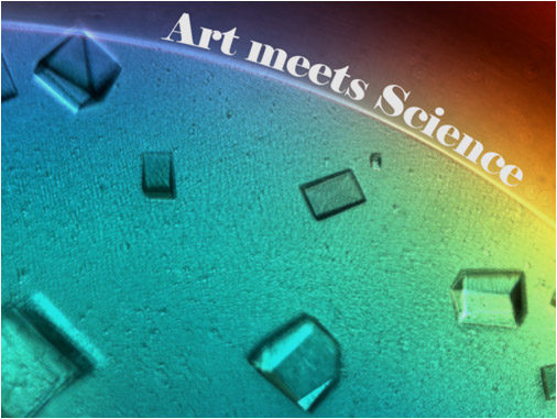 Art Meets Science 1