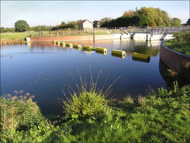 Dorney.jpg