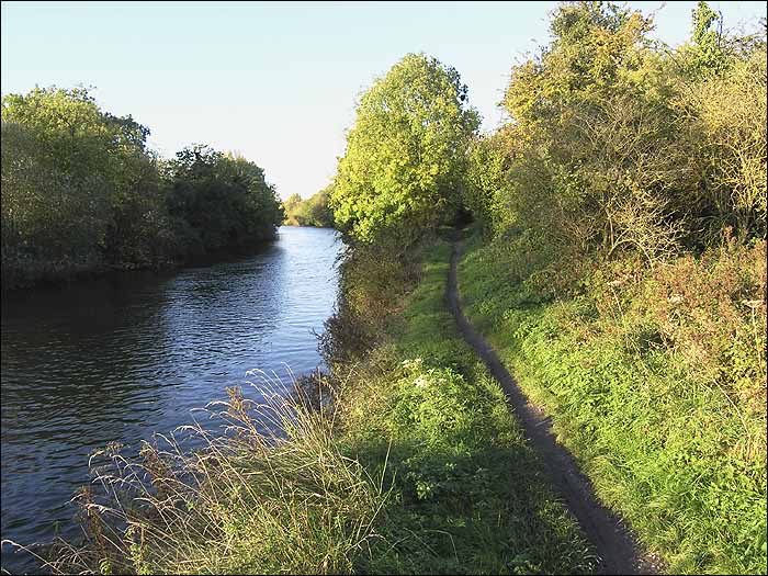 ThamesPathnearDorneyReach.jpg