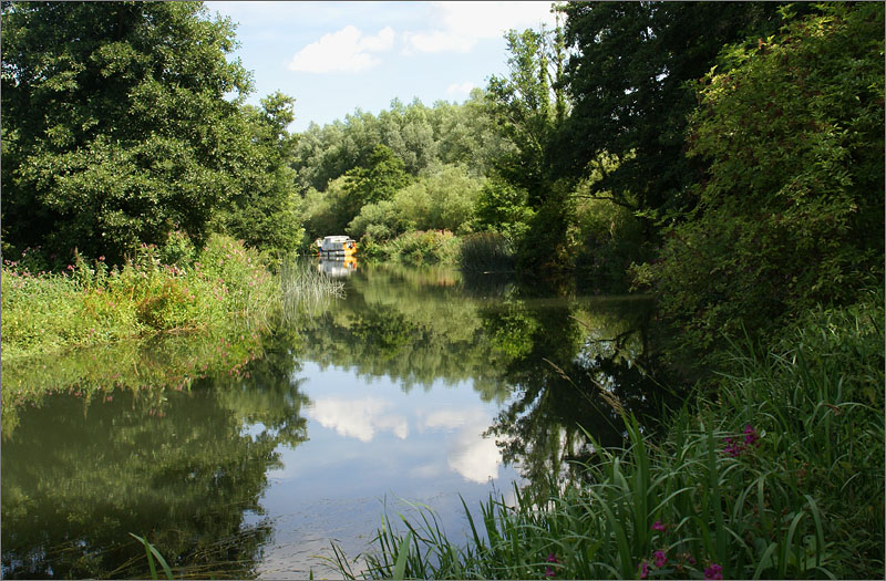 Kennet near Theale