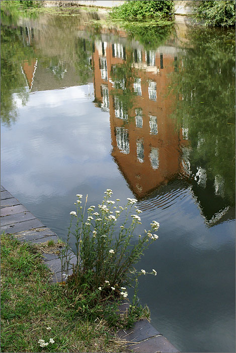 River Kennet, Reading
