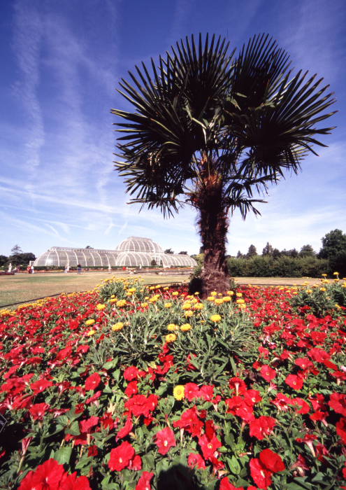 Kew_slidescan_003.JPG