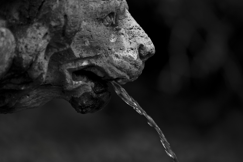 LionFountainMonochrome.JPG