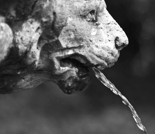 Mono via Lightroom