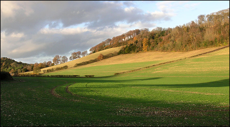 Allnutt's Wood from Slough Lane