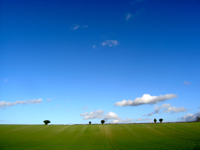 Near Dean Farm