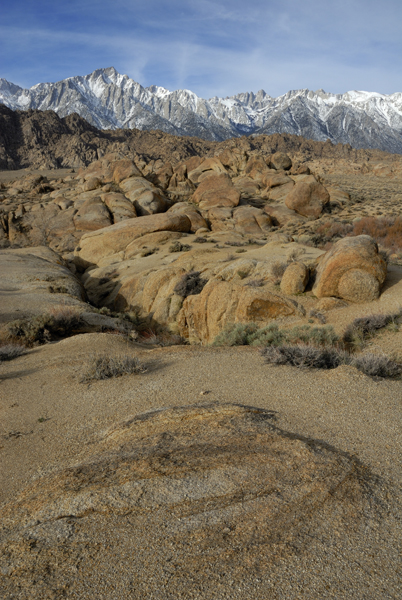 DSC_0587.jpg