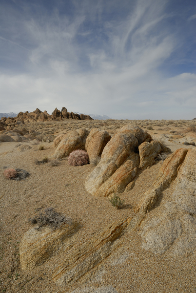 DSC_0691.jpg