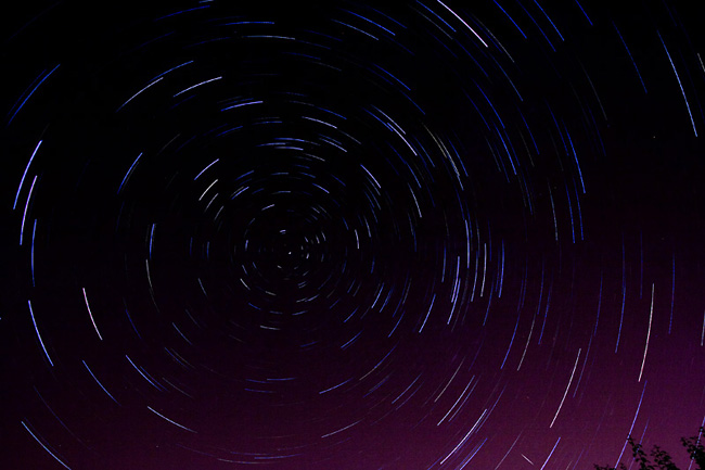 Perseid meteor by Steward Robertson (bottom left corner)