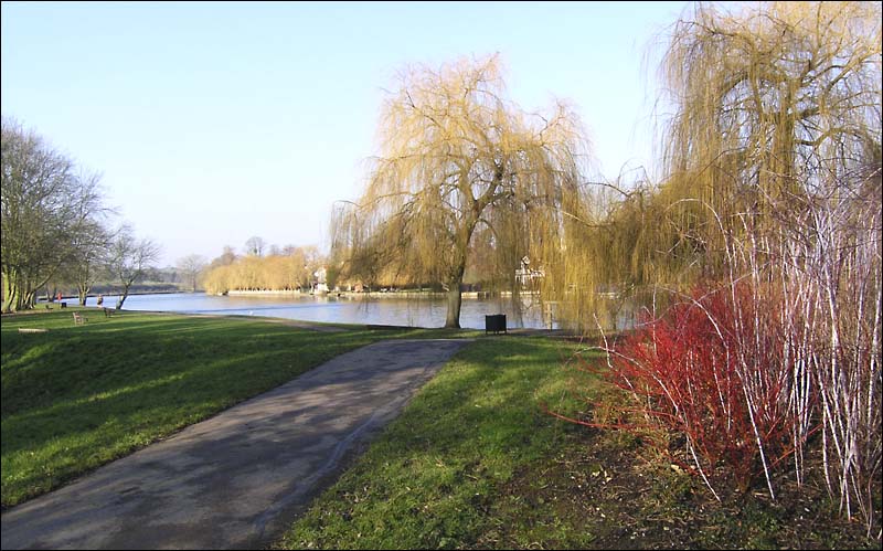DogwoodsbyThamesCookham.jpg