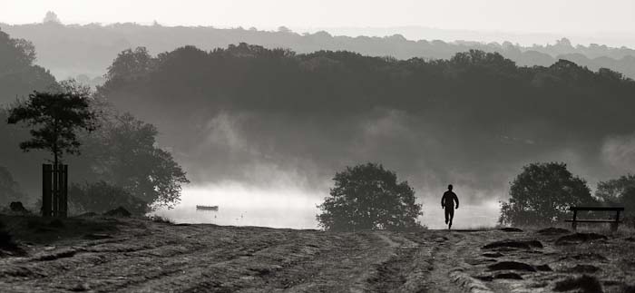 Patrick_White_-_Early_Morning_Training.jpg