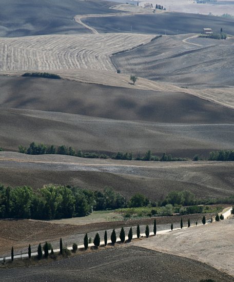 IMG_0215Tuscany_LeCrete_Pienza_landscape_web.jpg