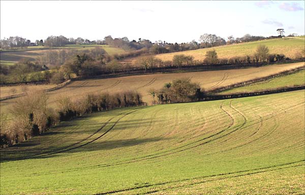 FieldsnorthofMarlow.jpg