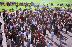 BOOKIES_LINDABALL.JPG