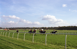 FINALFURLONG_LINDABALL.JPG