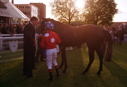 LASTWINNER_LINDABALL.JPG