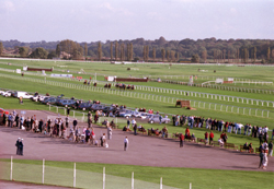 RACECOURSELEFT_LINDABALL.JPG