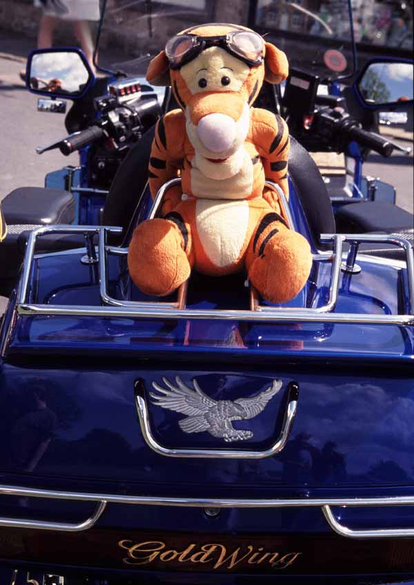 GoldwingandTiggeratGoathland01.jpg