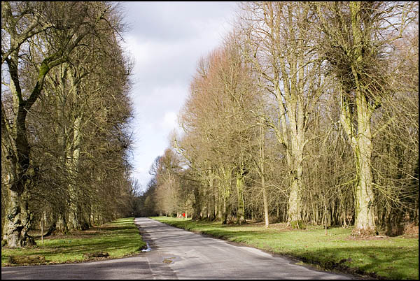 LimeAvenueTurvilleHeath.jpg