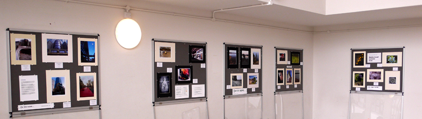 P1190419crop.jpg