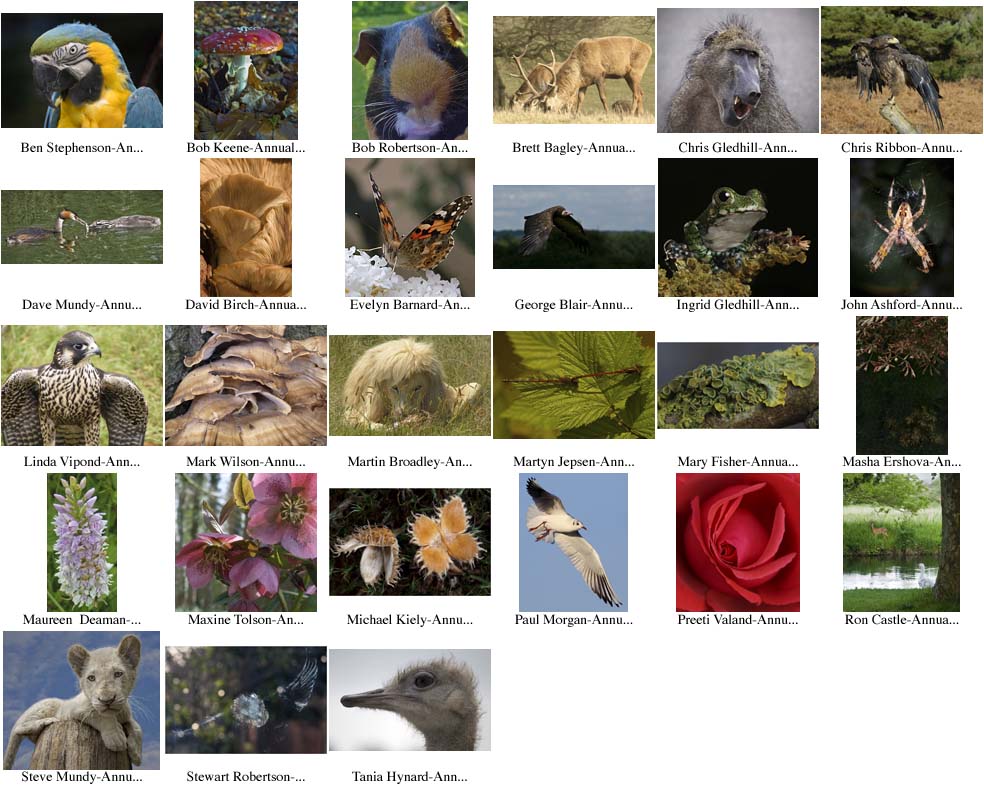 Annual Natural History PI 2009-2010