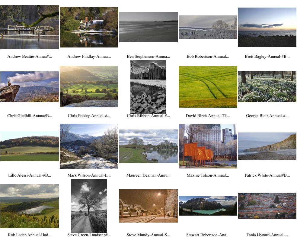 Annual Landscape PI 2009-10