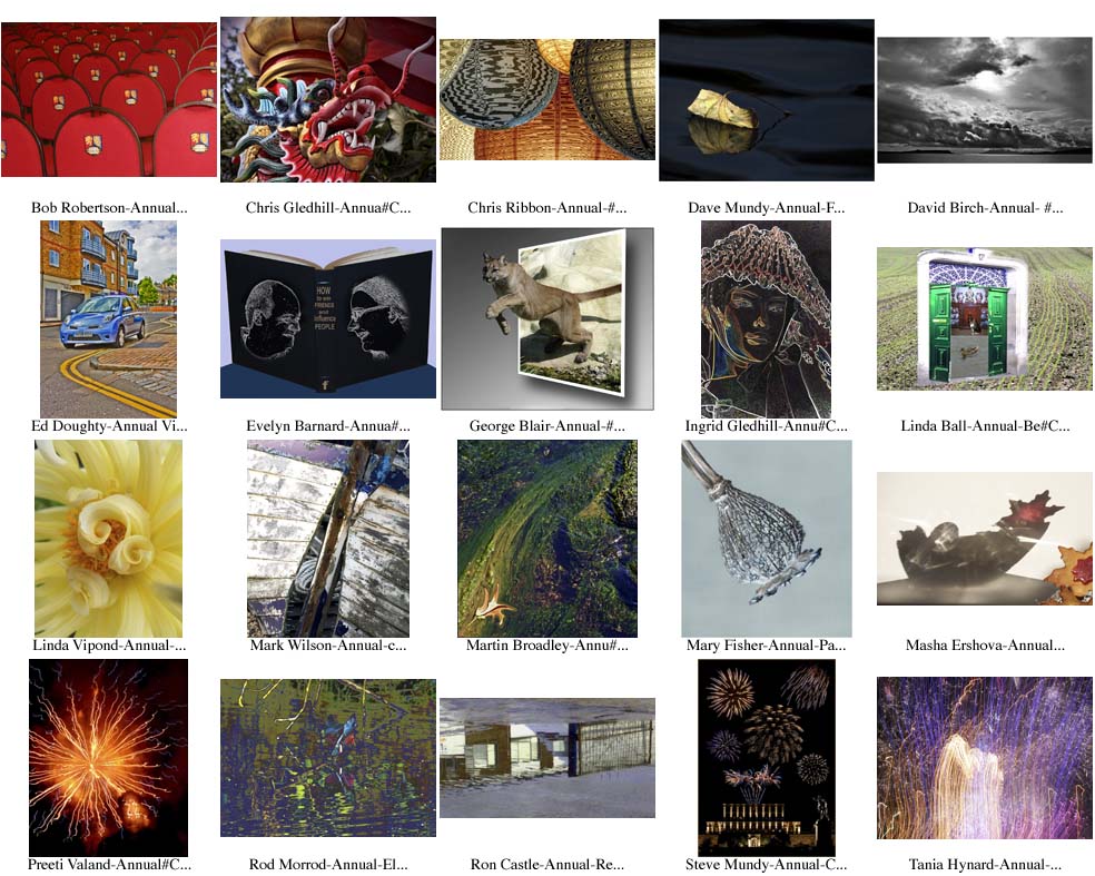 Annual Visual Art 2009-2010