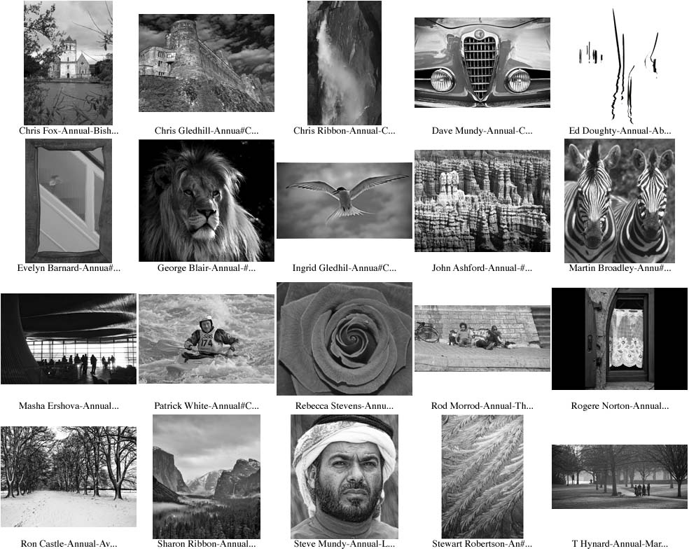 Annual Monochrome PI 2009-2010