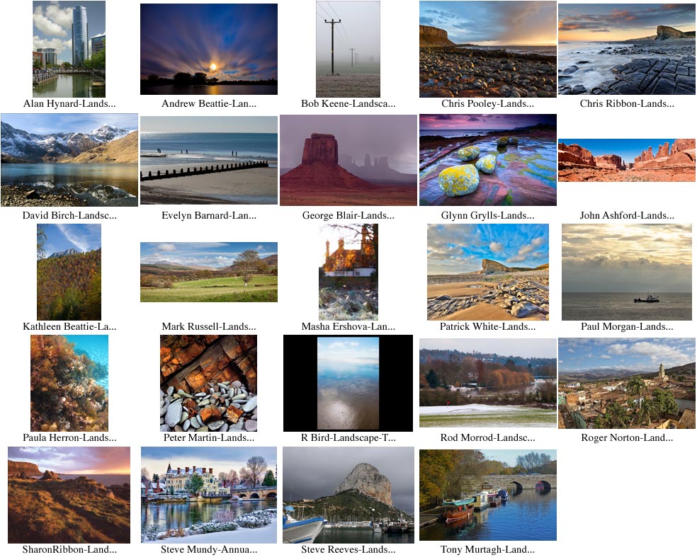 IxANLprints2010-2011.jpg