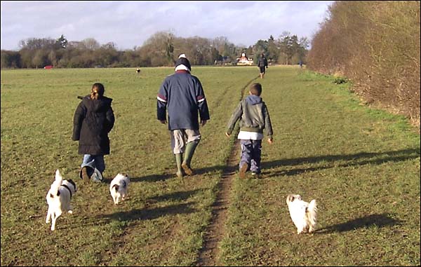 Dogwalkers.jpg