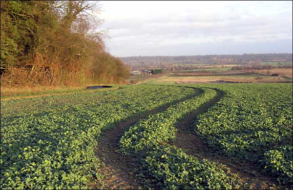 VieweastfromMountFarm.jpg