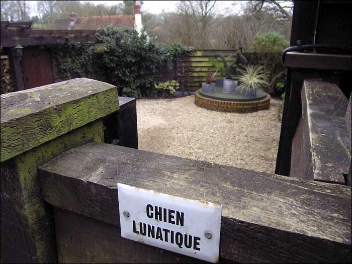ChienLunatique.jpg